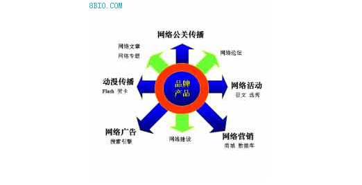 合肥網(wǎng)絡公司營銷圖片